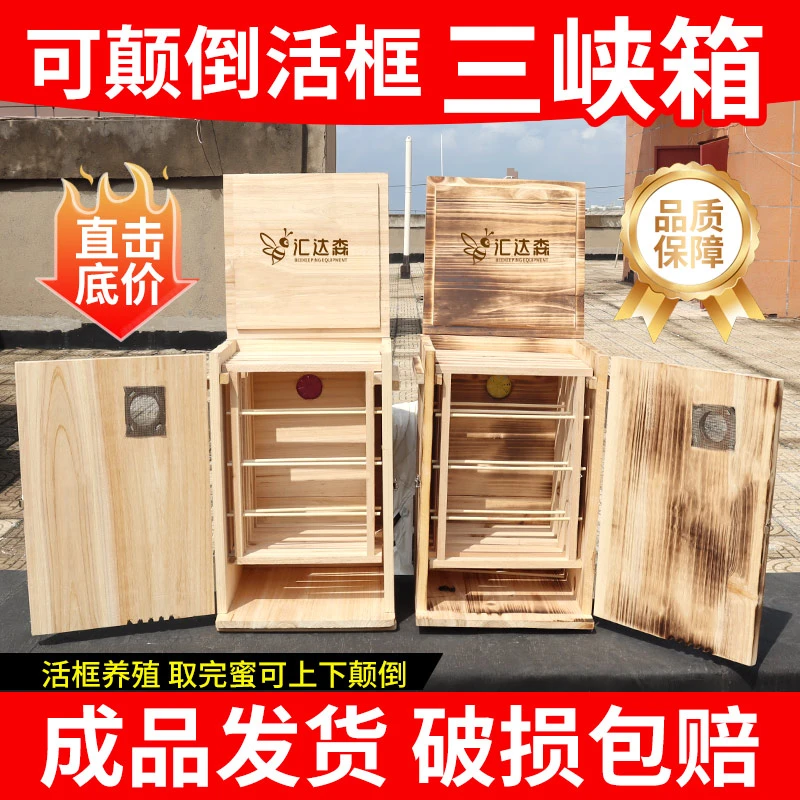 【成品发货】竖养颠倒活板蜂箱养殖箱大号养蜜蜂专用蜂箱中蜂专用箱