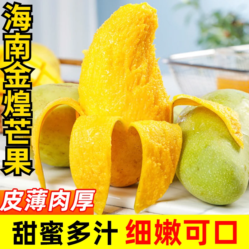 海南金煌芒大芒果10斤装时令热带青芒新鲜水果当季400-600g