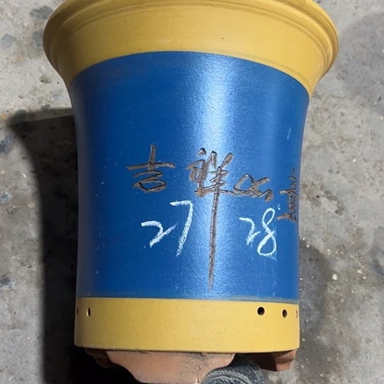紫砂工艺厂……紫砂工艺厂？紫砂