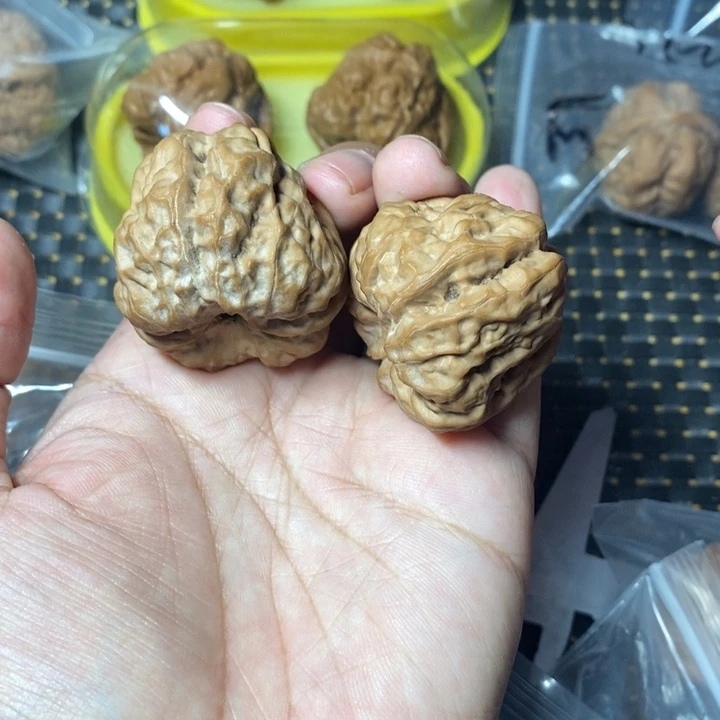 文玩核桃把件蛤蟆38全