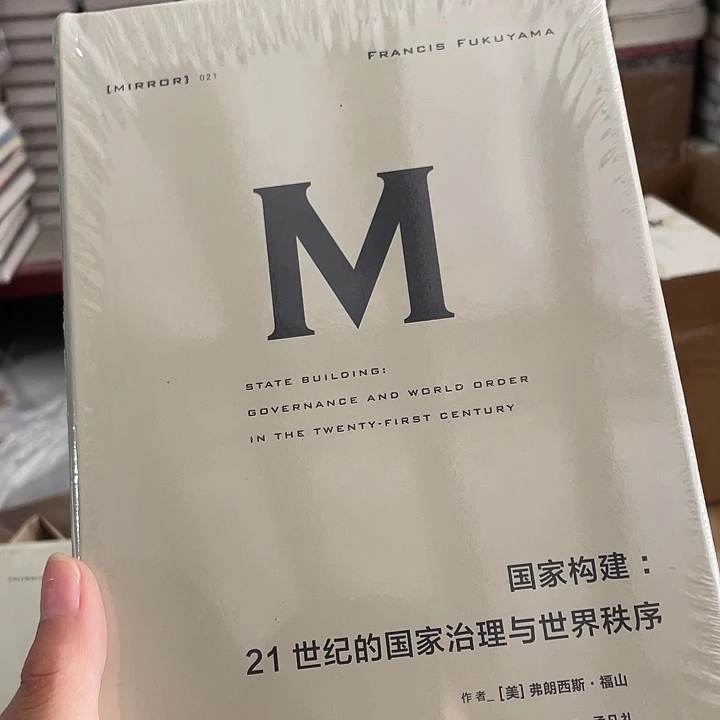 国家构建：微瑕图书系列