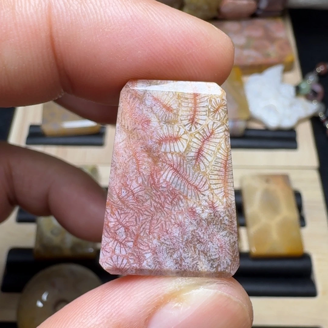 未镶嵌纯天然色有机玉石保真色硅化玉