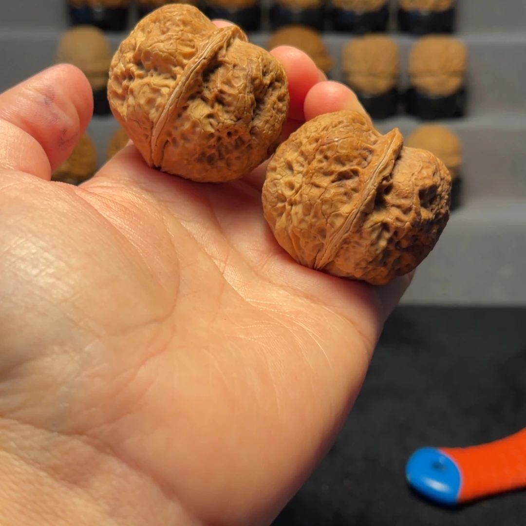 文玩核桃把件26-32