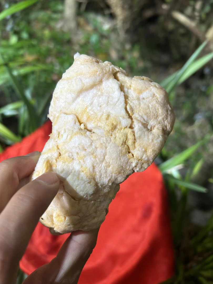 1【天-然-石-太-岁】净含量50g-1500g【阿徐现收】 菌