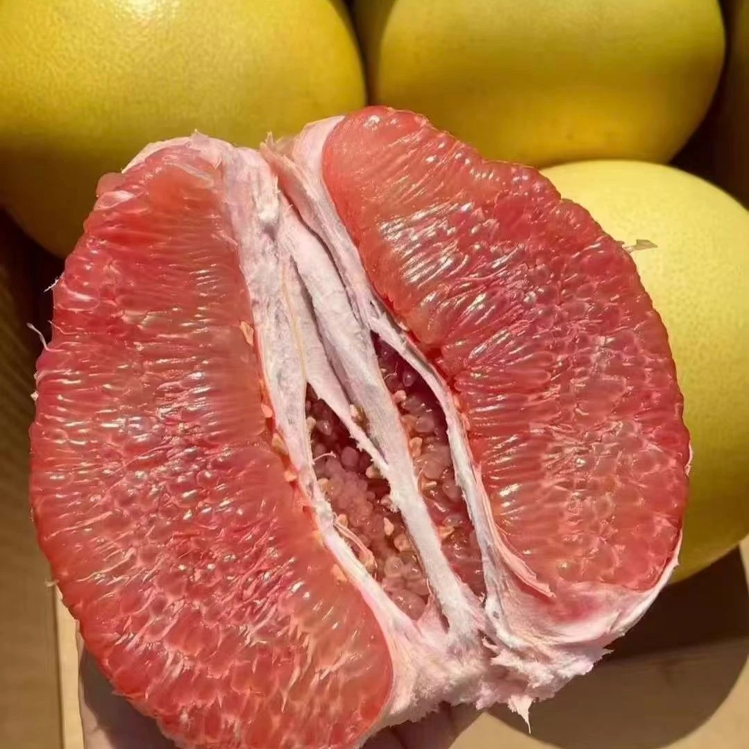 文旦红心柚4个礼盒装中秋礼品佳选四川省