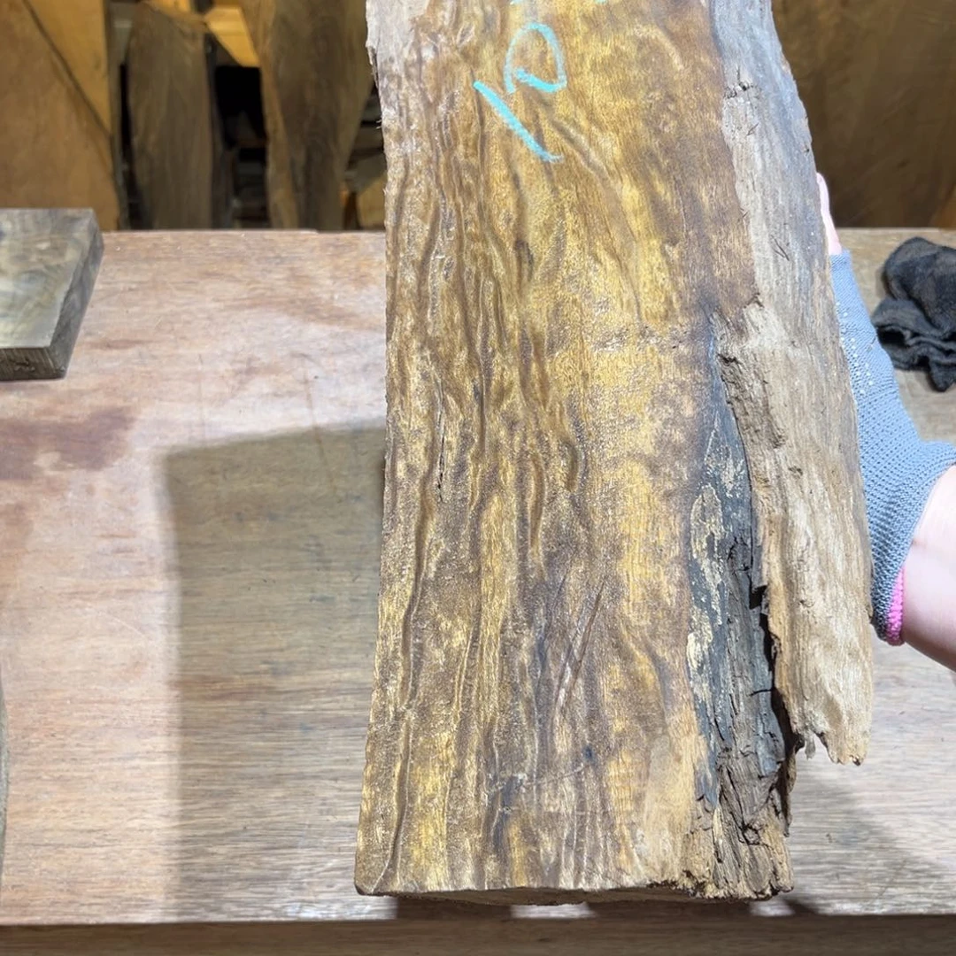 金丝楠金丝楠原材料