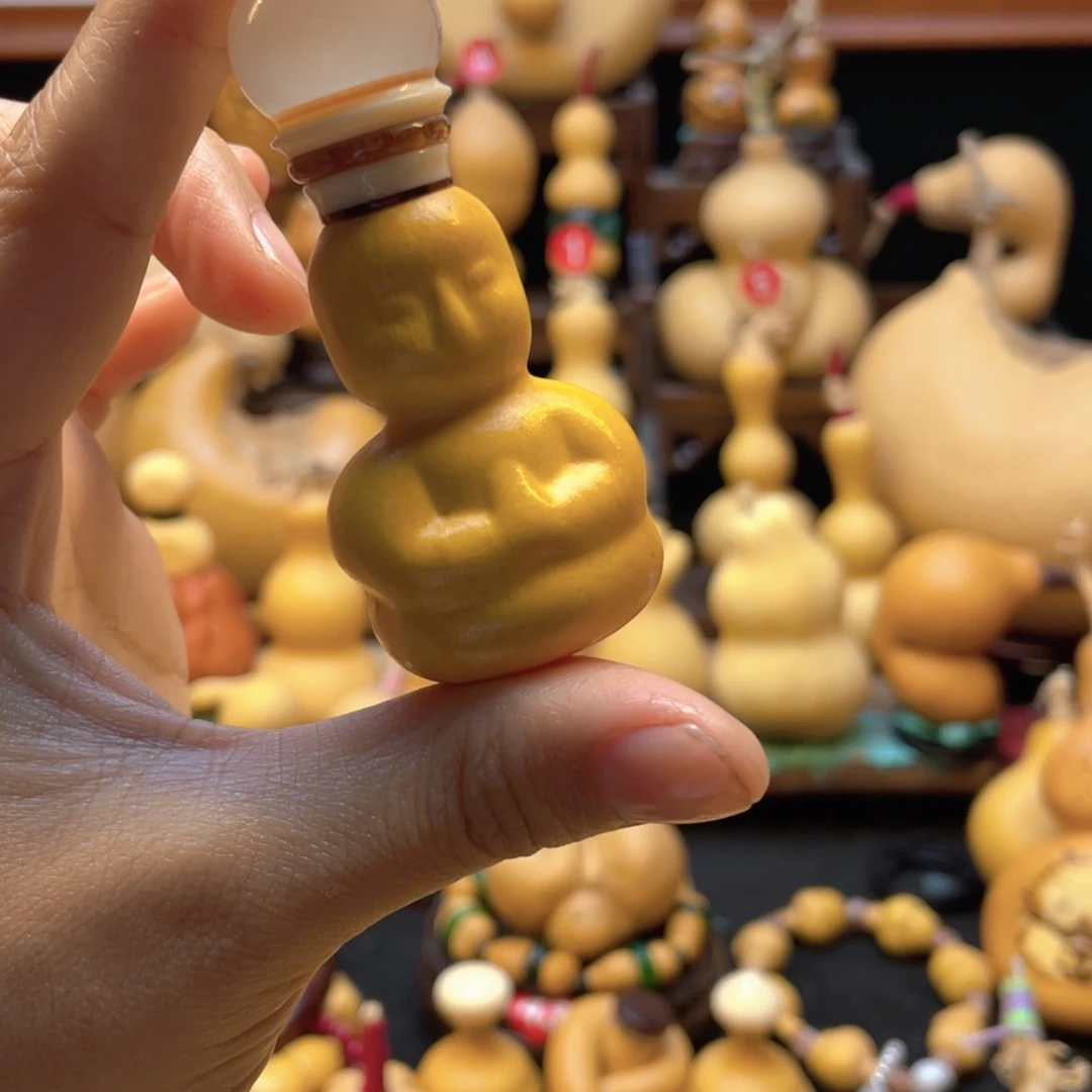 葫**儿大自然的秘密第十一节的