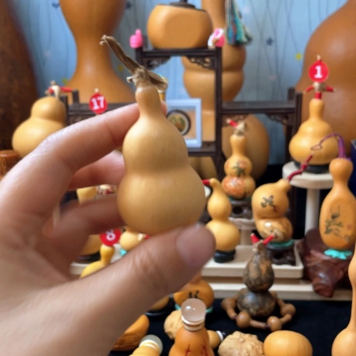 龙*侠我想知道这世界是不是什么事情