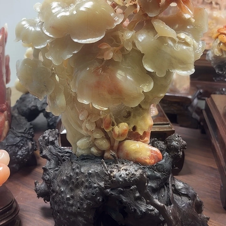 寿山石翠鸟占残荷