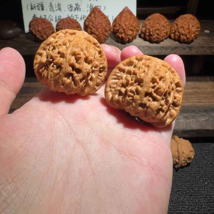 3 文玩麻核桃40尺寸白狮子