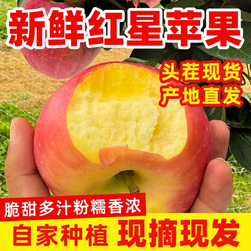 山西运城万荣县红星苹果脆甜多汁粉糯香浓【中小果】5斤净重实惠装