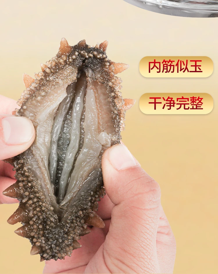 【30头 】【 5公分】现场挑货即食海参软糯Q弹口感