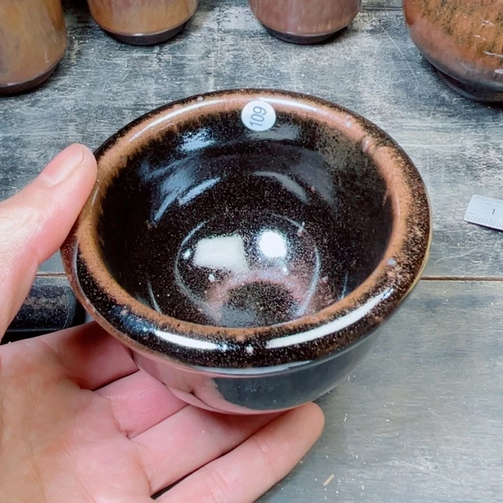 茶宠盏盏灯都是我的爱啊