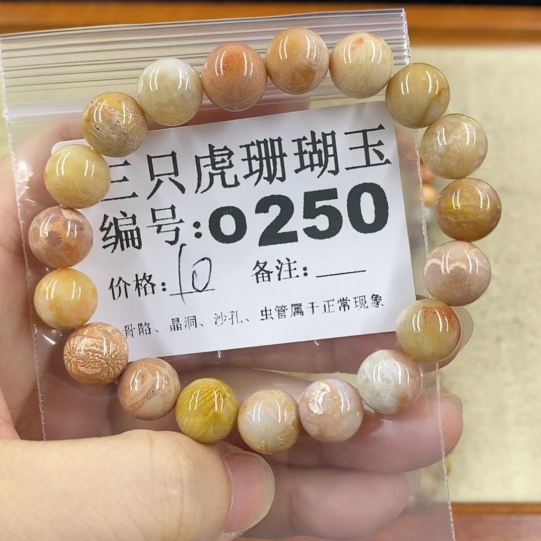 硅化珊瑚（珊瑚玉）1未镶嵌嘟*呀