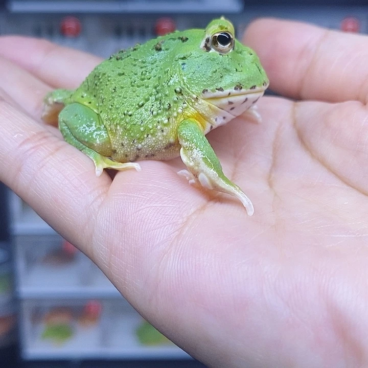 特价促销价格优惠