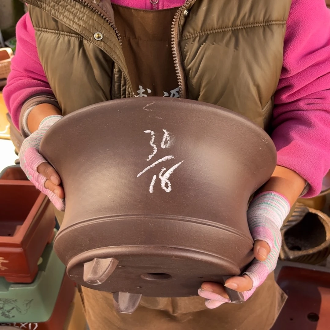 紫砂花盆盆景艺术