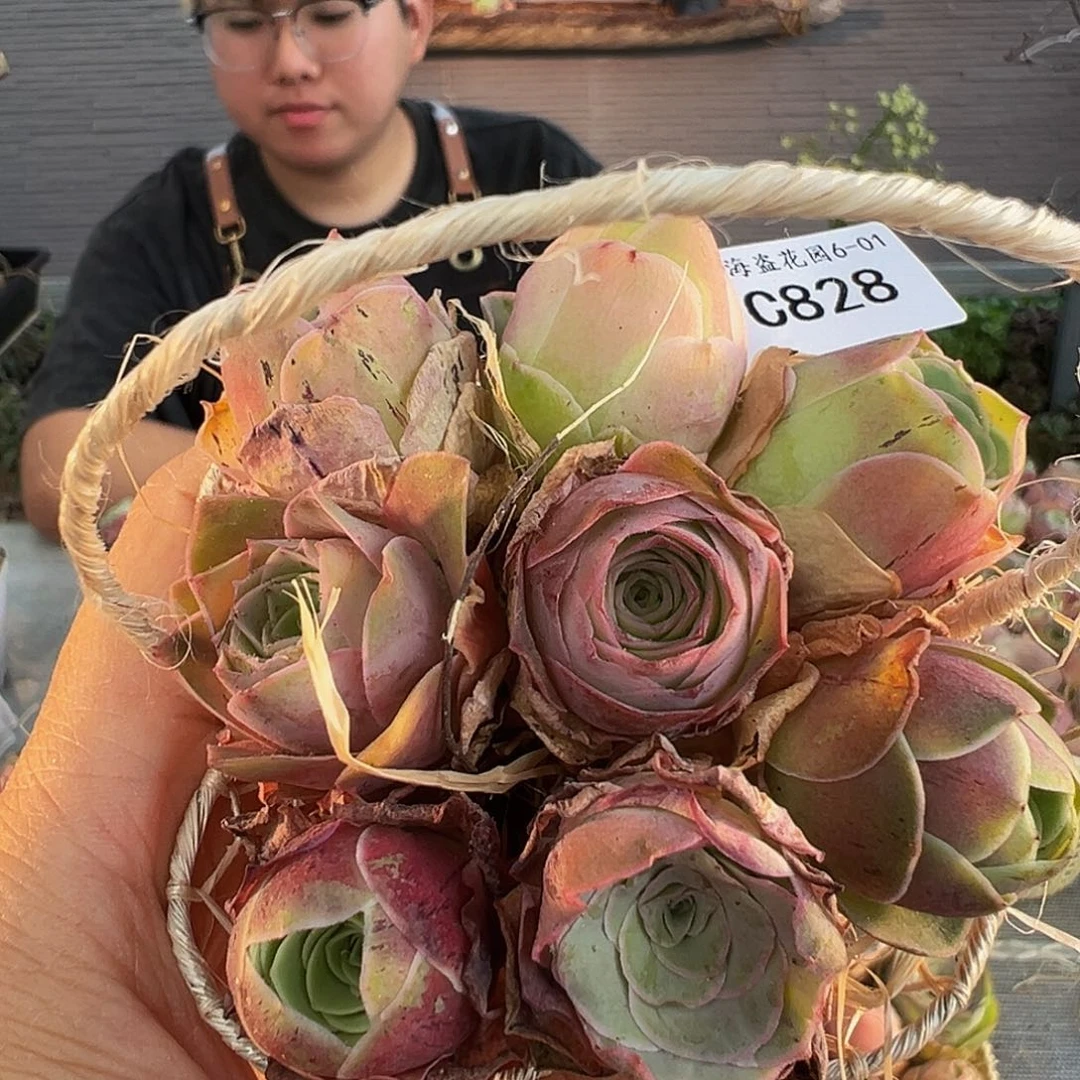 C828。铁艺花篮。