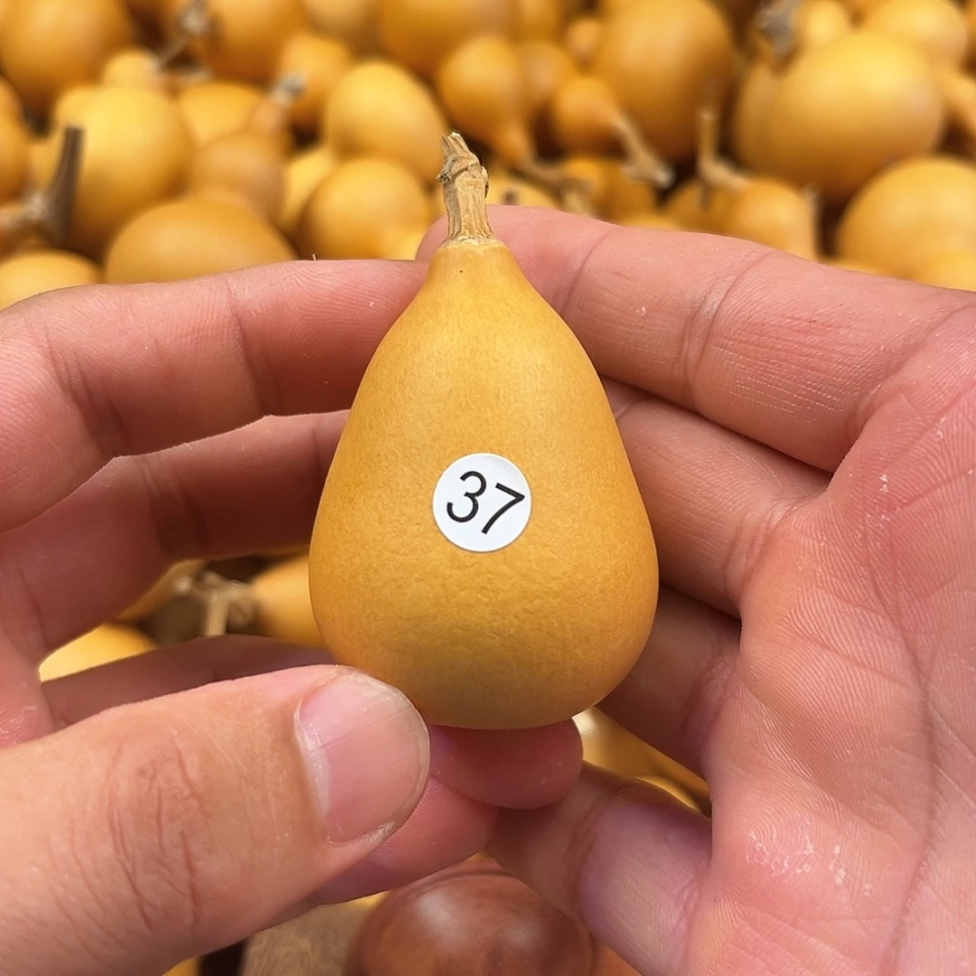 四葫芦葫芦葫芦葫芦37