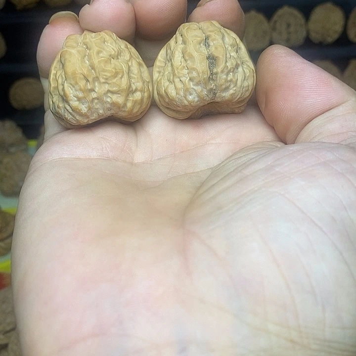s***e大叶紫檀（黑酸枝木类）