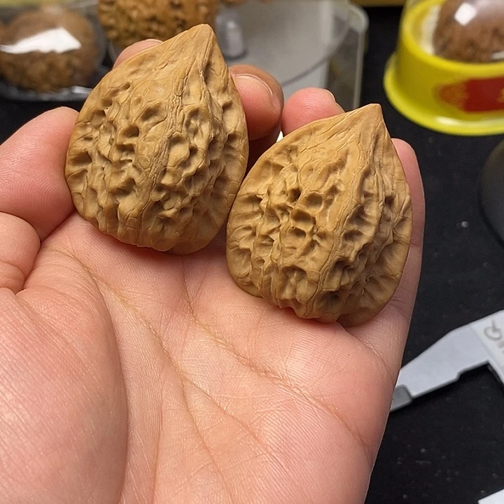 龙脊菩提吊坠上手红