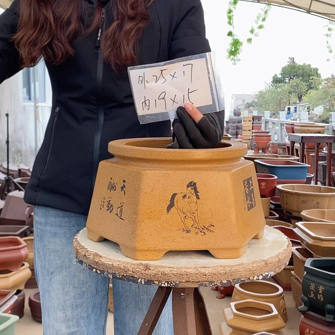 紫砂花盆紫砂花盆