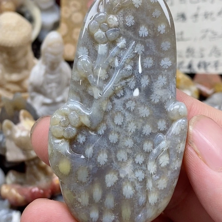 颈饰未镶嵌硅化珊瑚（珊瑚玉）