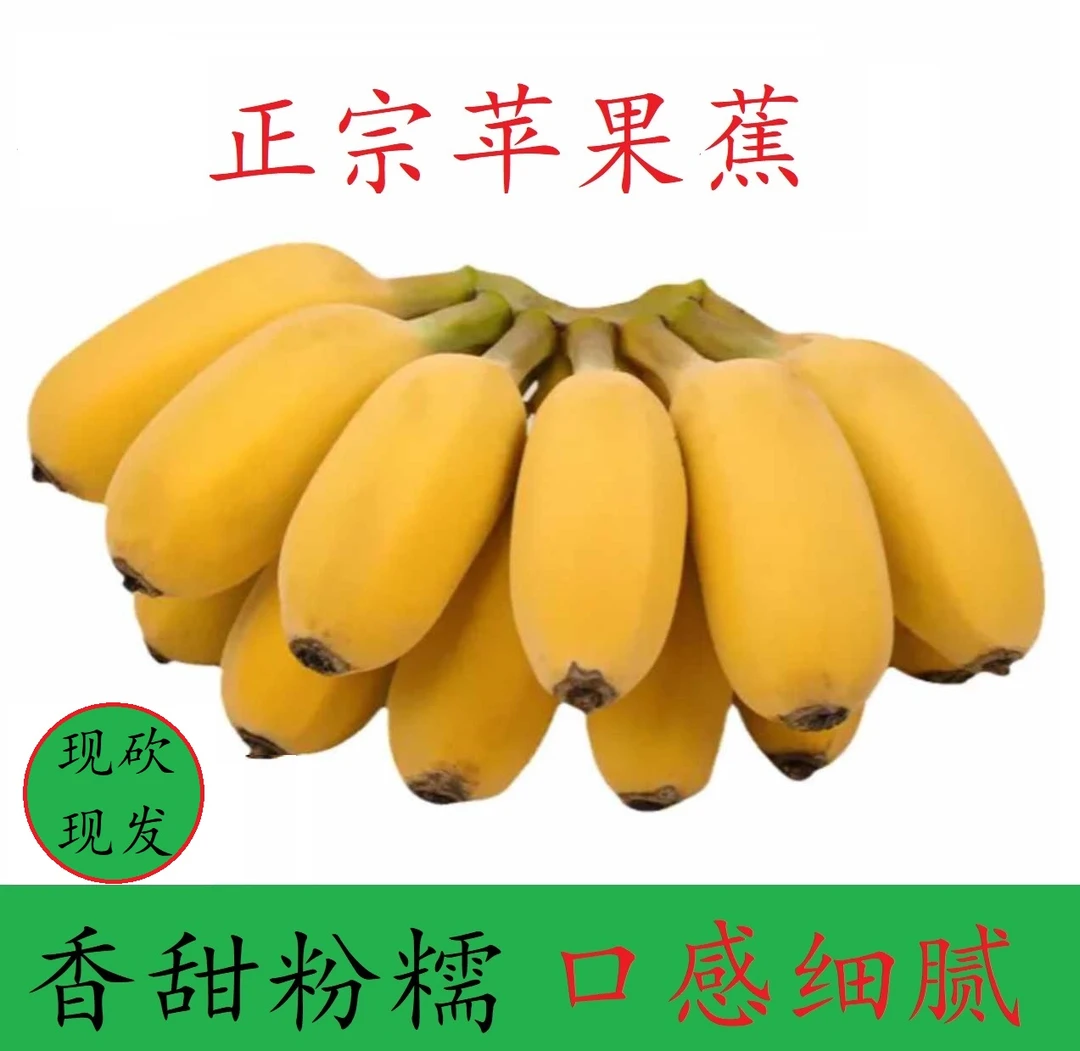 自然熟香蕉苹果蕉当季水果现采现发当季新鲜水果