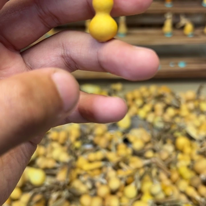 初***5葫芦草里金草里金