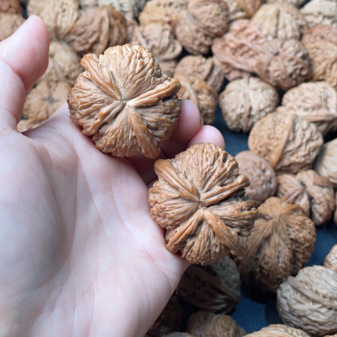 把件文玩核桃47白狮子连体