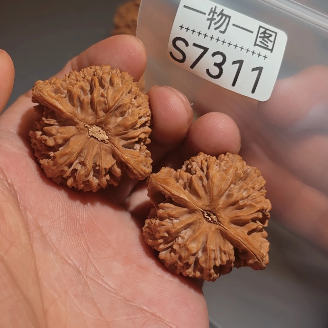 文玩核桃把件满天星