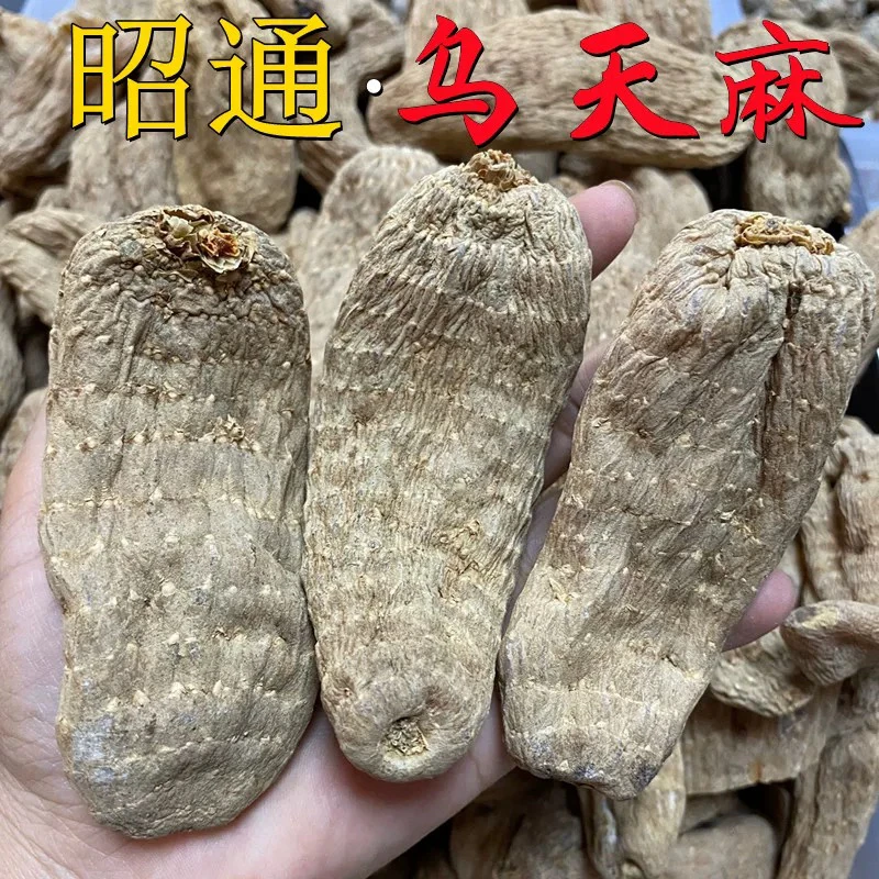 正宗云南原色无硫乌天麻干货整个天然营养煲汤滋补食材