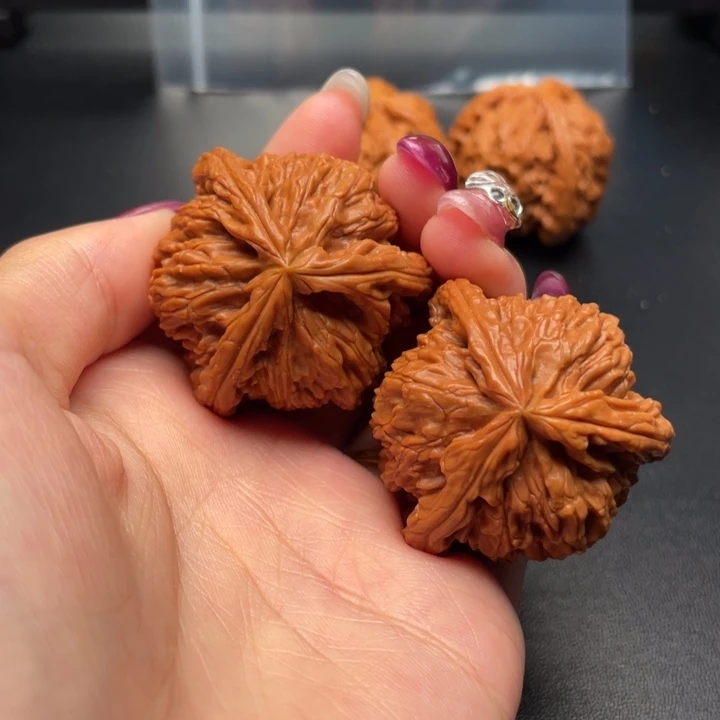 因***廷吊坠文玩核桃白狮子