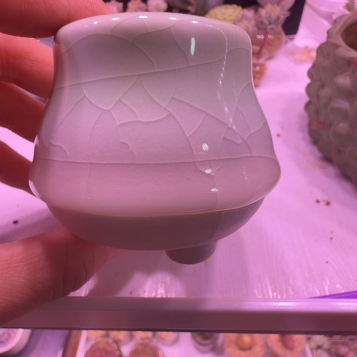 盆7，小清新拇指盆，多肉盆闲置处理不介意的拍！