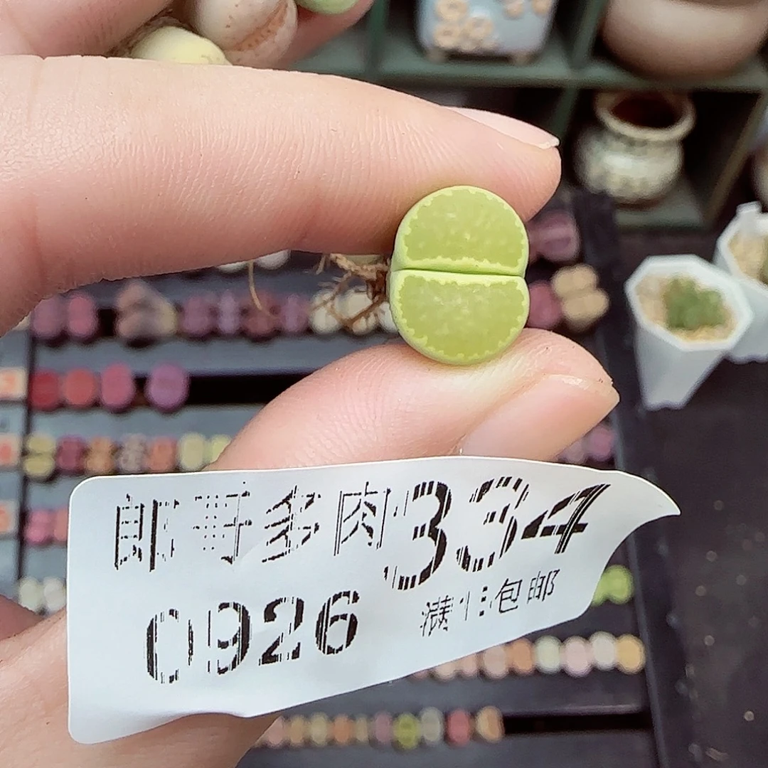 *****满满18包邮0926-334