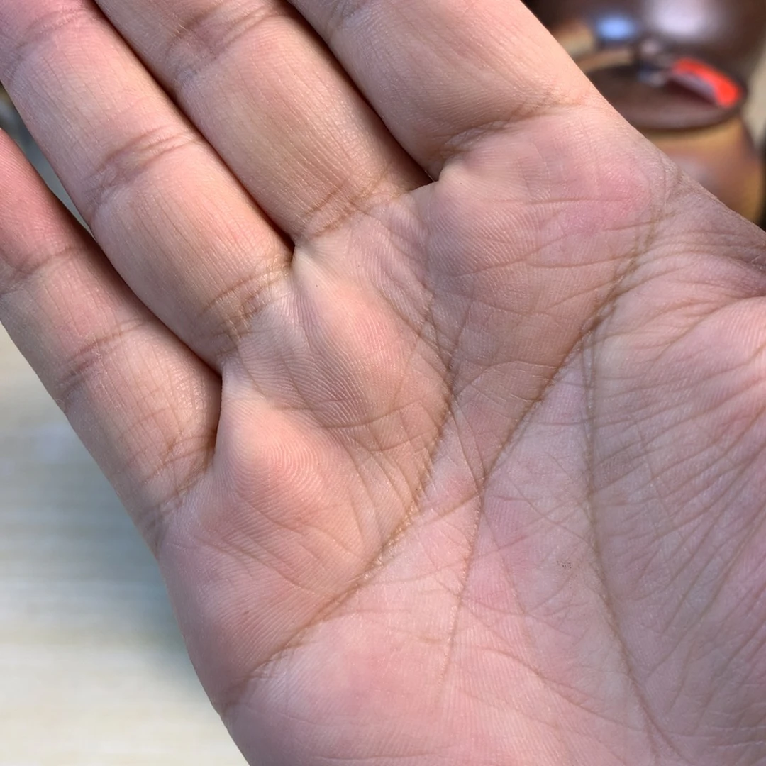 主播间一物一拍烤茶罐