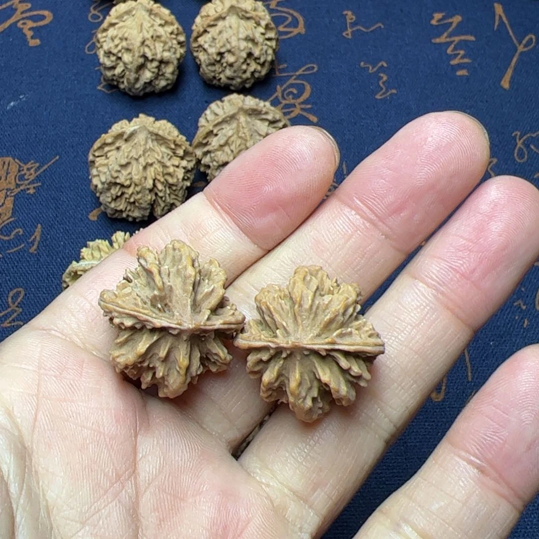 文玩核桃把件秦岭野生植物核桃