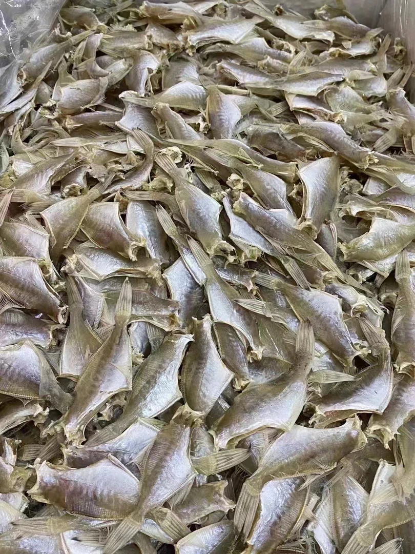 广东迪仔鱼干1-500g