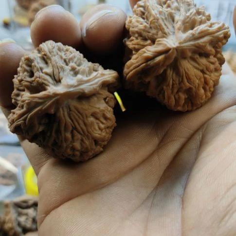 B***n把件文玩核桃南疆石狮子头核桃