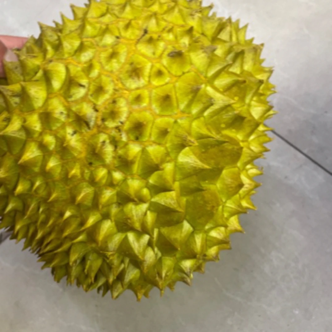 整果（精选金荛榴莲）一物一拍！新鲜干荛108元一个，4斤左右斤左右一个，核小肉质绵密干尧泰国