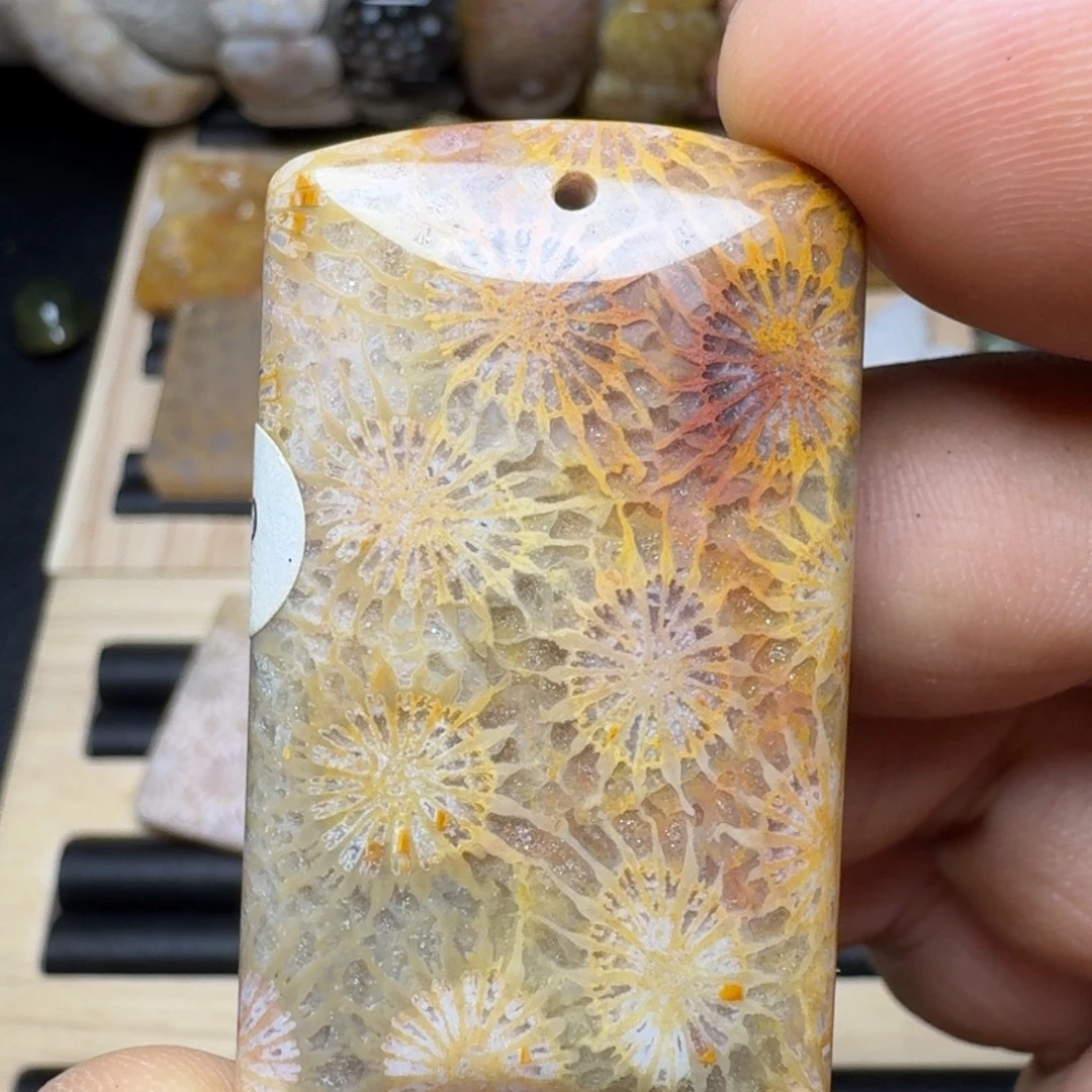 未镶嵌纯天然色有机玉石保真色硅化玉