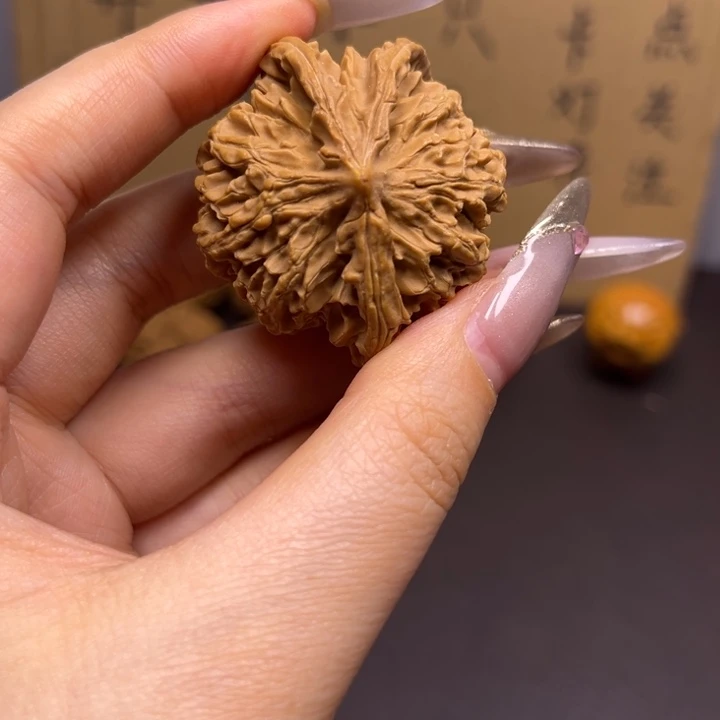 对***对菩提籽类三棱单只异型有瑕