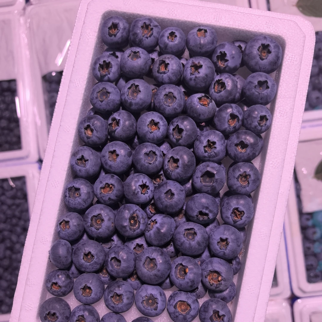 云南纯甜口l25蓝莓 8两