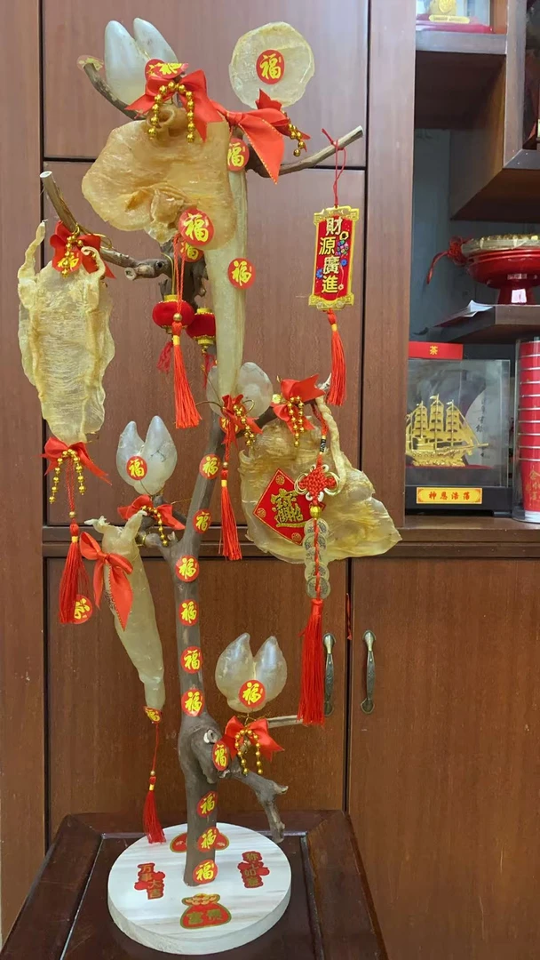 正品鱼胶树寓意吉祥公司摆设生意兴隆婚庆嫁娶中秋赏月同城可送货