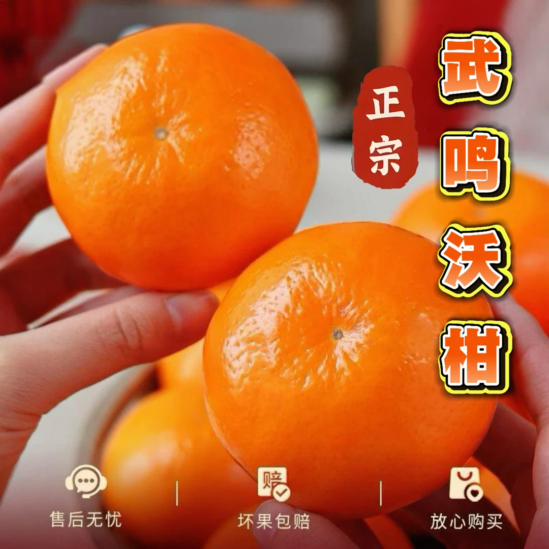 广西武鸣沃柑正宗原产地直发老果树口感清甜