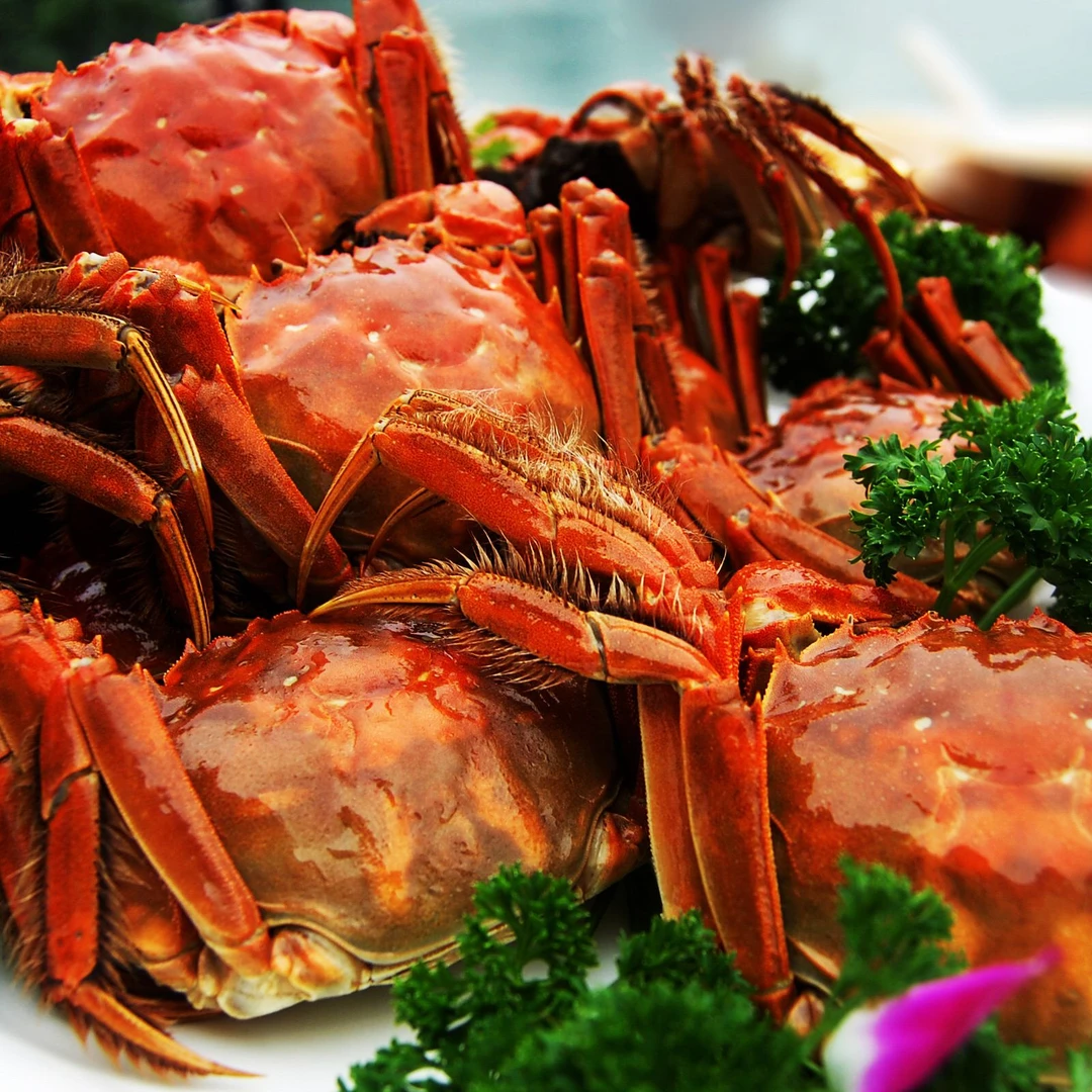 母螃蟹2.5两左右每只硬壳类鲜活发货