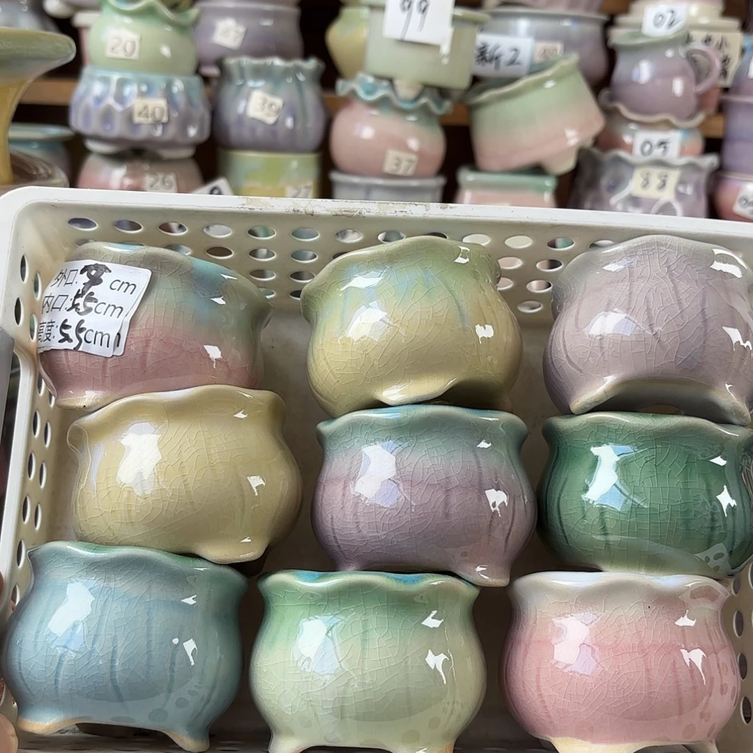 量货/口5.5-7高5.5深浅搭配发6个