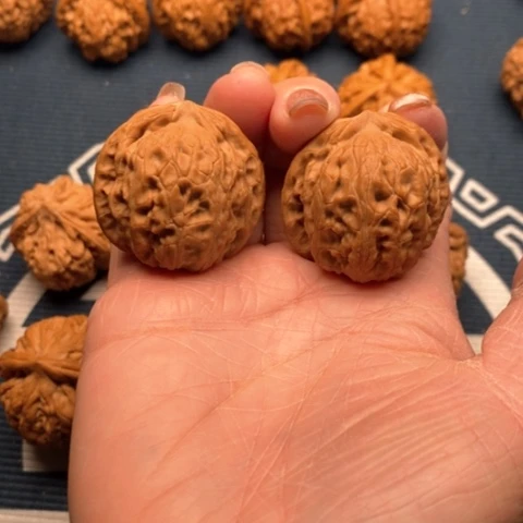 橄榄核手串/手链龙胆35全品