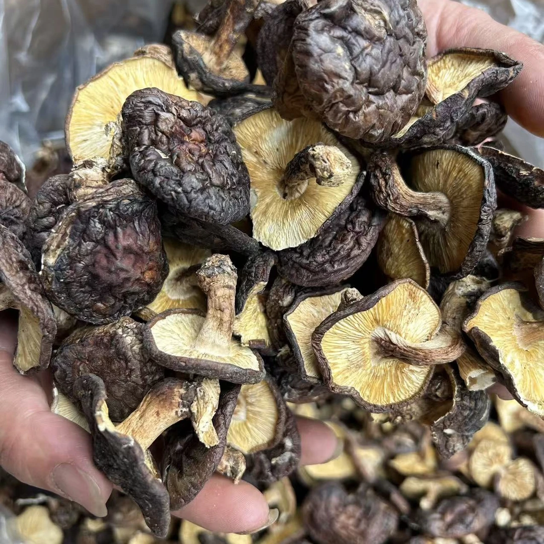【小梅专属】香菌香菇干货正宗农家自晒干蘑菇散装农村山货土货