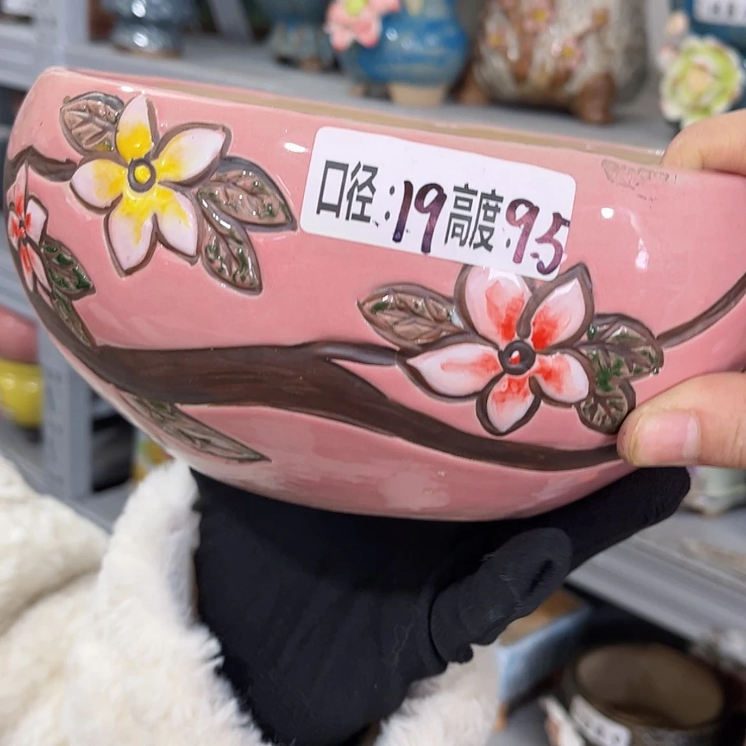 【闪购商品】红陶福利