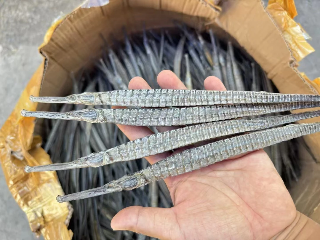 深海六角海龙干泡酒炖汤